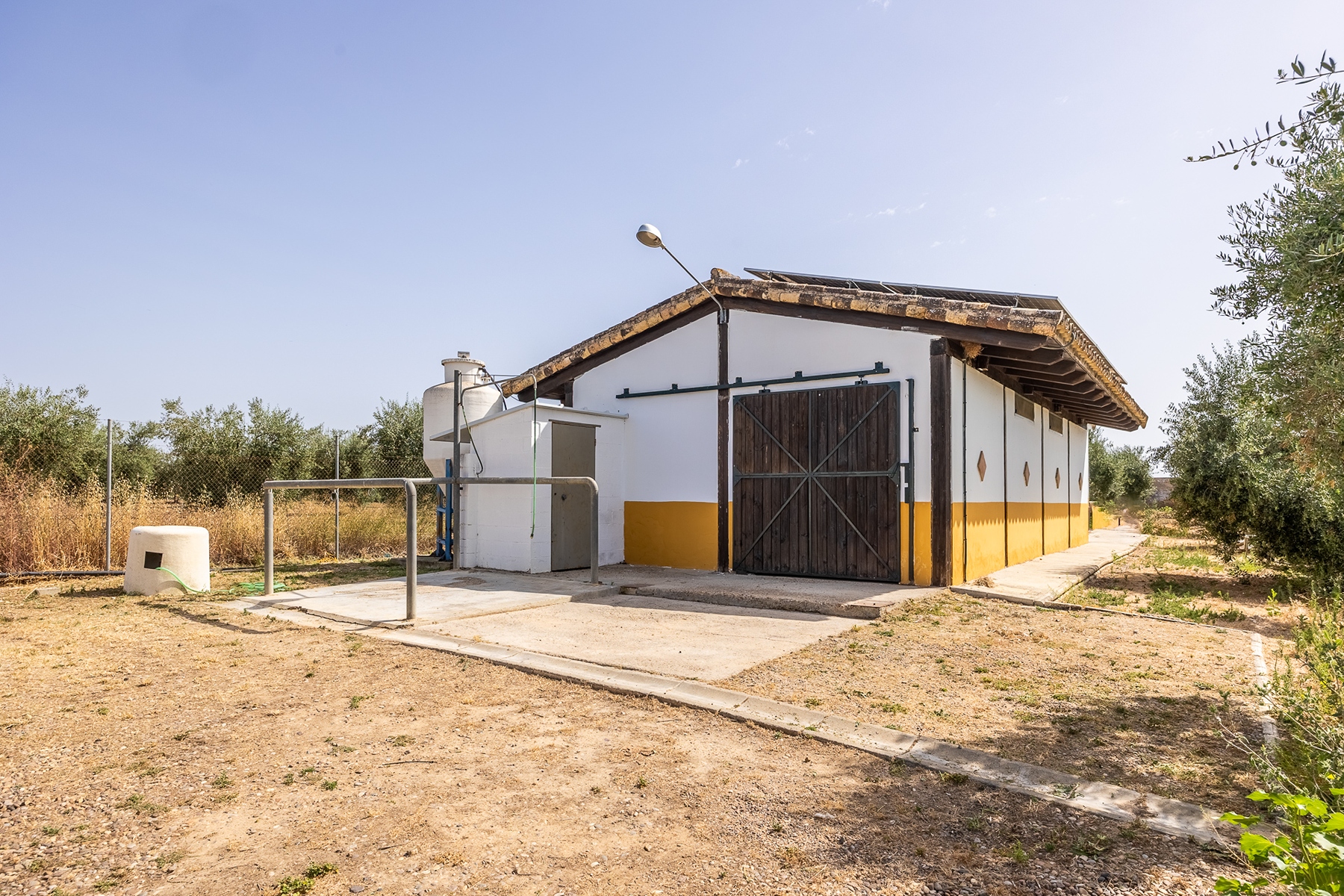  Exclusive equestrian estate next to the Pre-Coto de Doñana - 物件實景