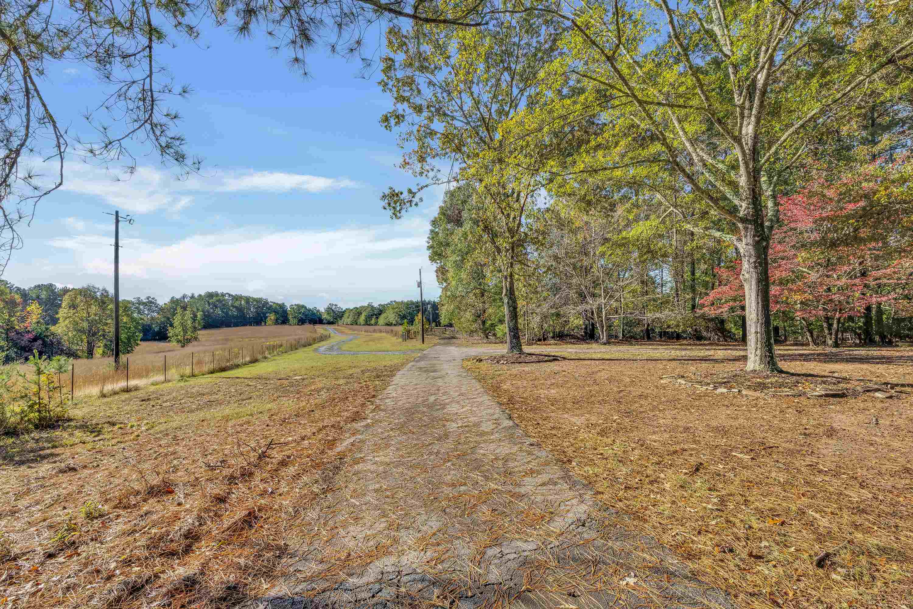 Woodruff, South Carolina, 29388, United States, 3 Bedrooms Bedrooms, ,2 BathroomsBathrooms,Residential,For Sale,1985035