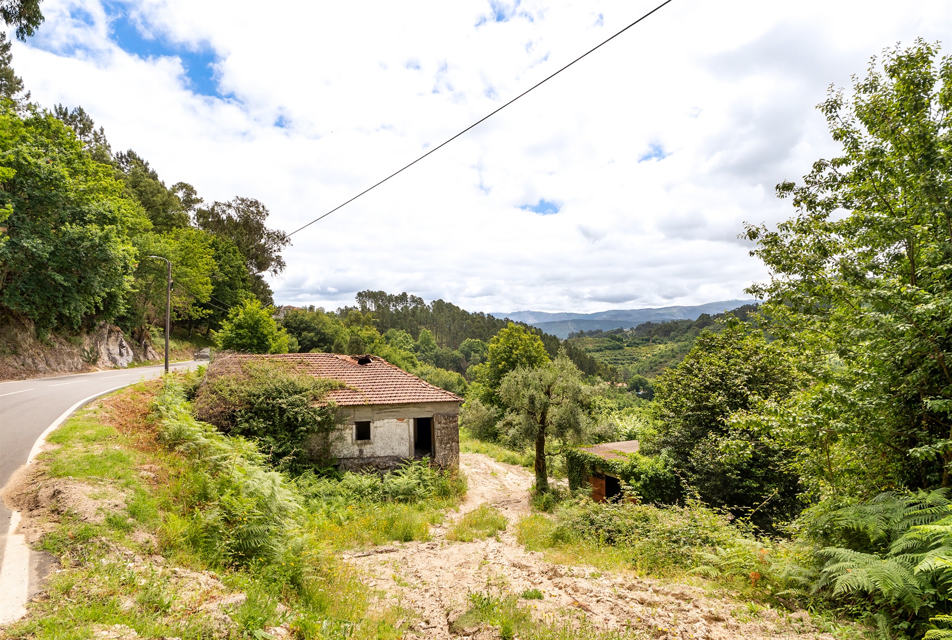  Farm, 3 bedrooms, for Sale - 物件實景