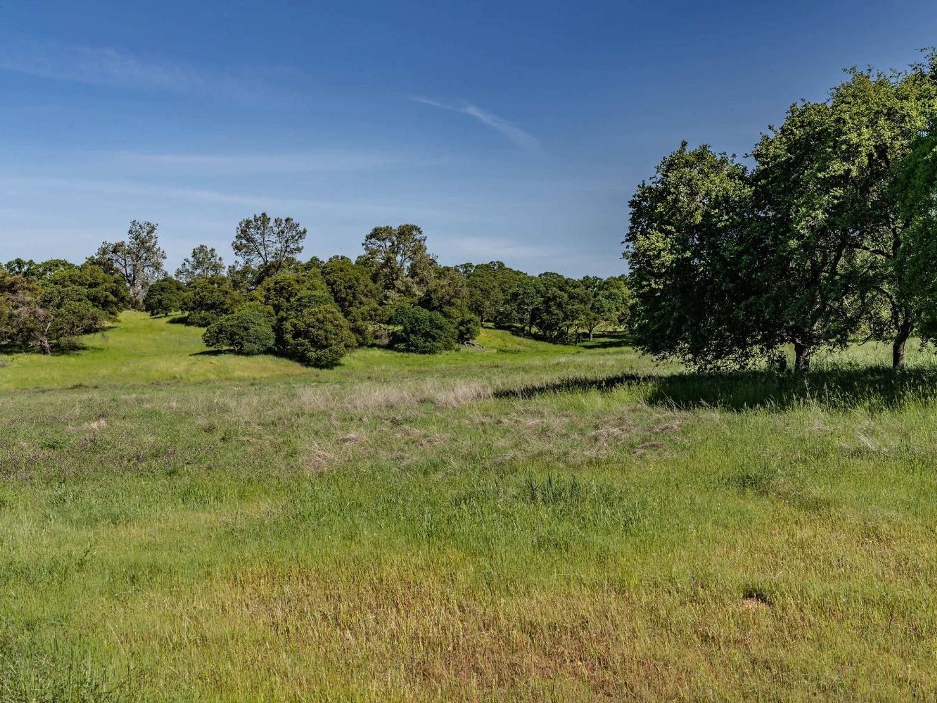  10865 Sunset Drive, Sutter Creek, CA 95685 - 物件實景