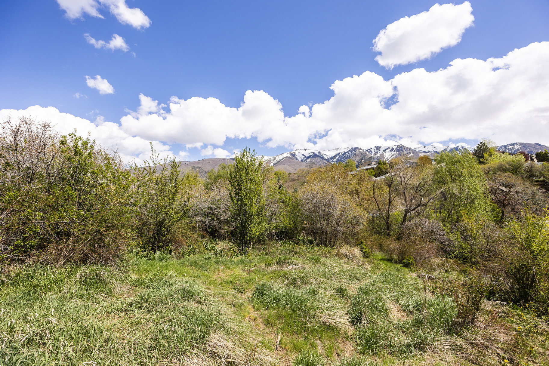  1.47 Acre Lot In East Layton With Endless Possibilities - 物件實景