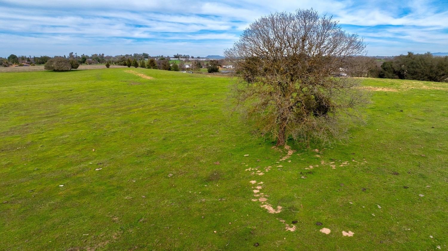Burson, California, 95225, United States, ,Residential,For Sale,1880944