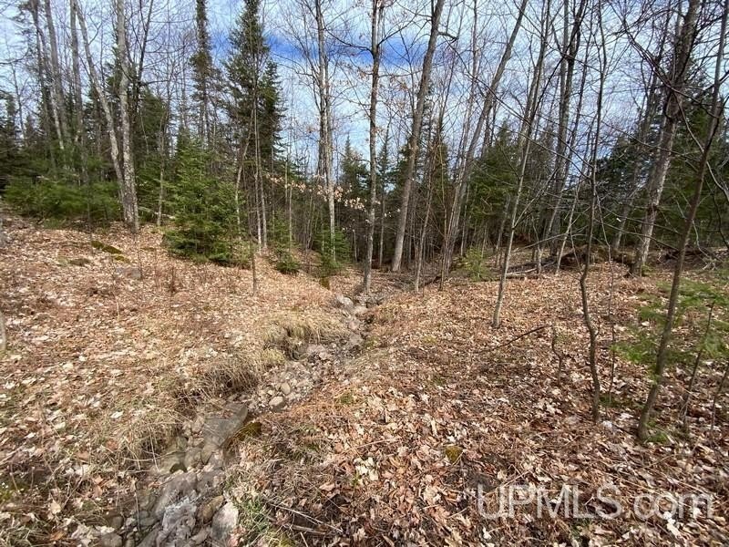 TBD W US 41, Marquette, Michigan, 49855, United States, ,Residential,For Sale,TBD W US 41,1601608