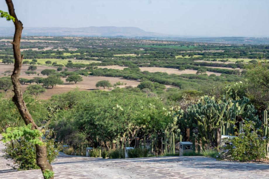 Los Sagrados, San Miguel de Allende, Guanajuato, 37888, Mexico, 1 Bedroom Bedrooms, ,Residential,For Sale,Los Sagrados,1557488