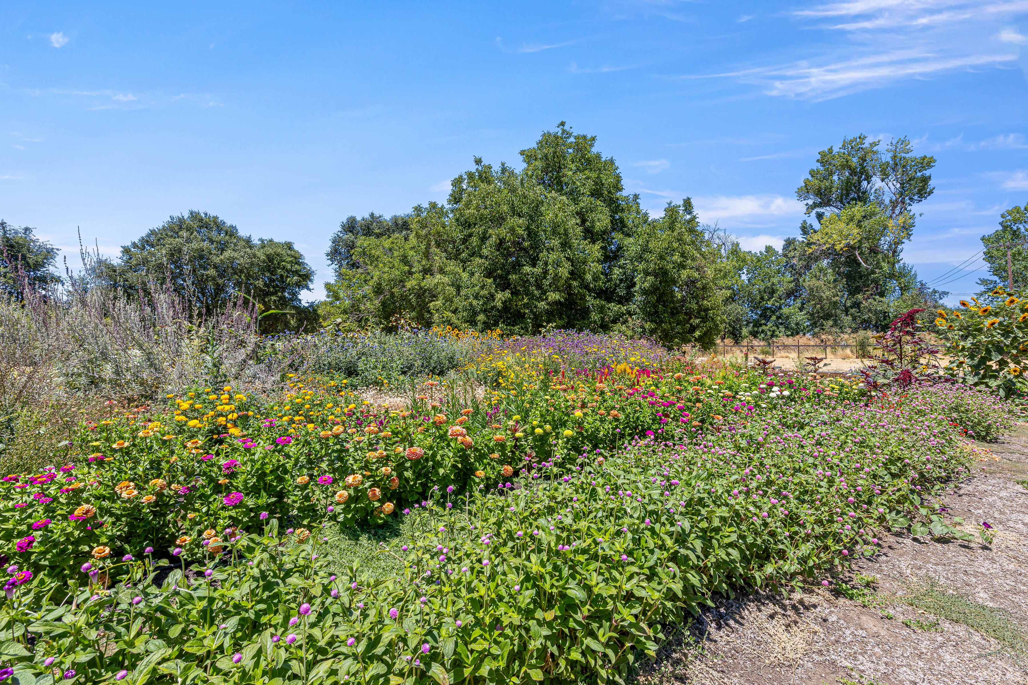  Peace and Plenty Farm - 物件實景