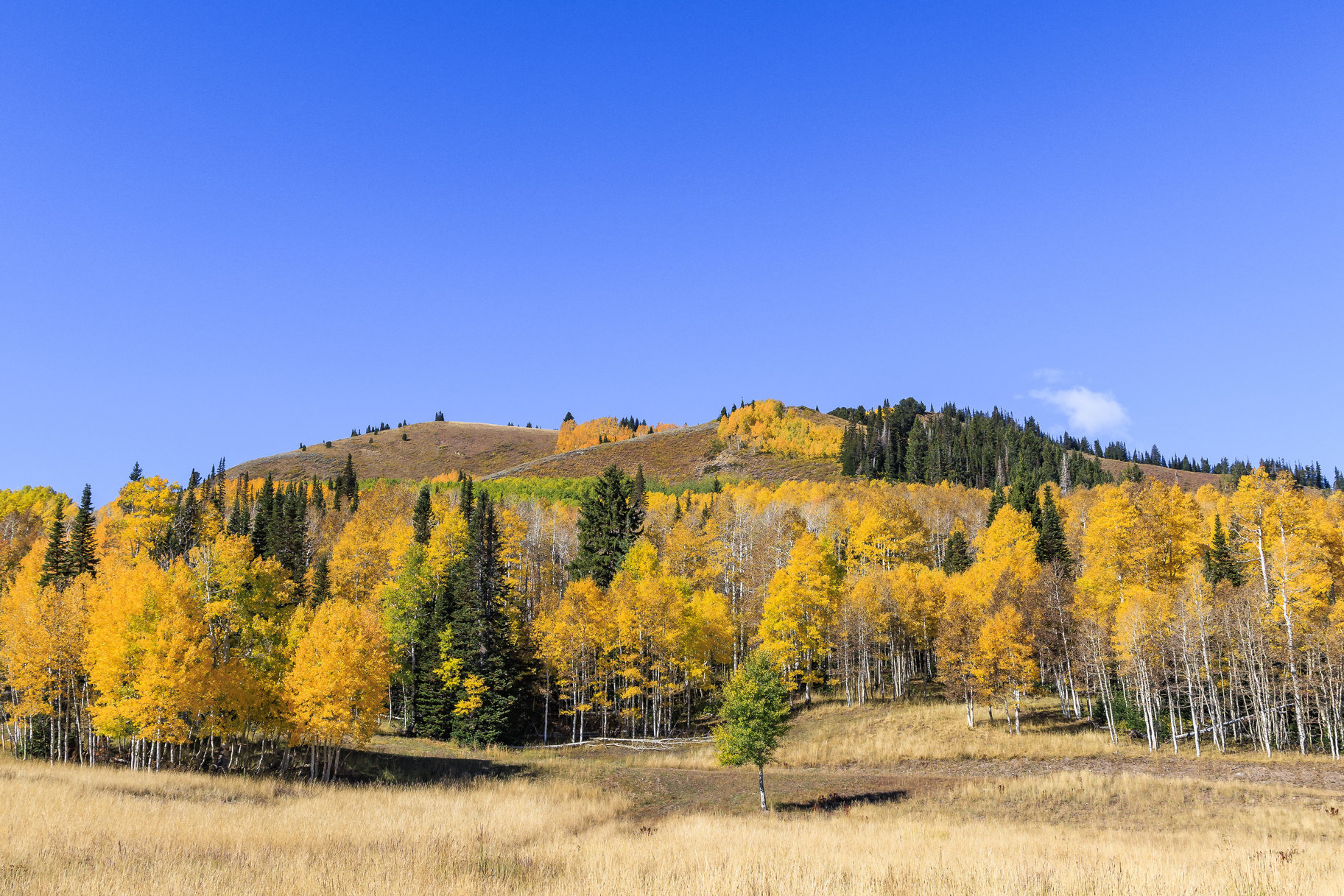  Incredible 28 Acre Estate Lot in the Colony at White Pine Canyon - 物件實景