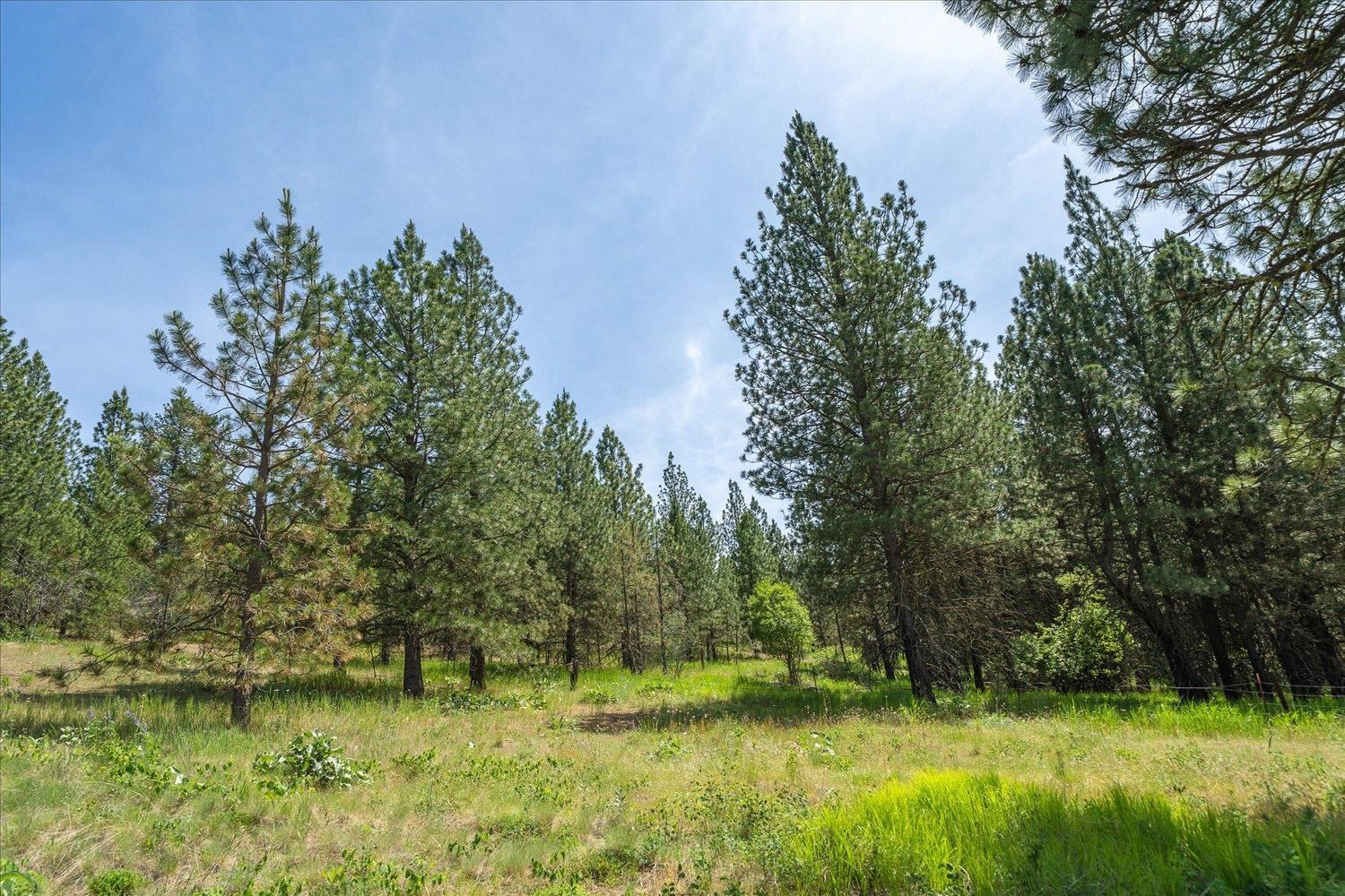 Spokane, Washington, 99212, United States, 4 Bedrooms Bedrooms, ,6 BathroomsBathrooms,Residential,For Sale,1978183