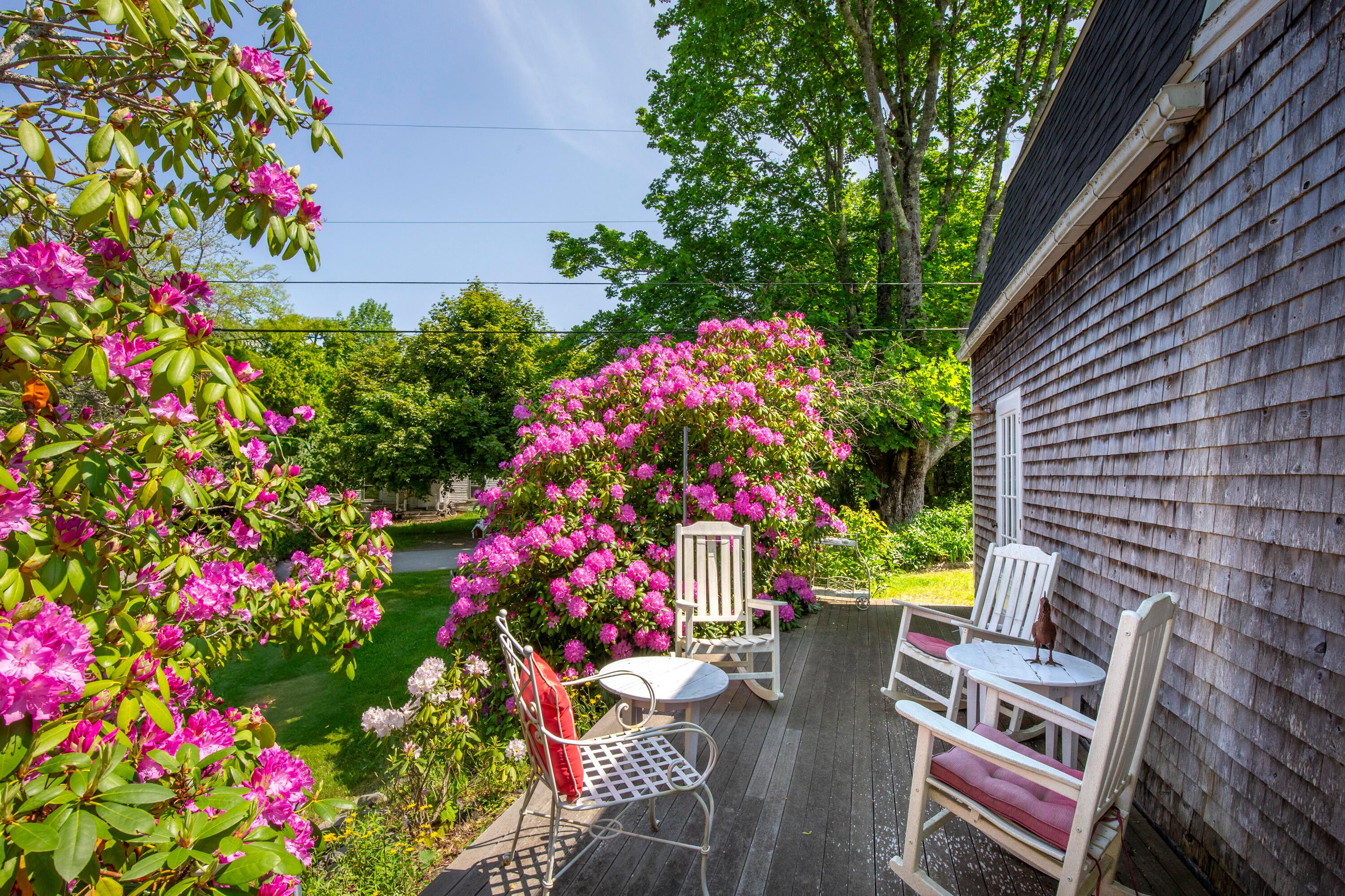  108 Colony Road - 物件實景