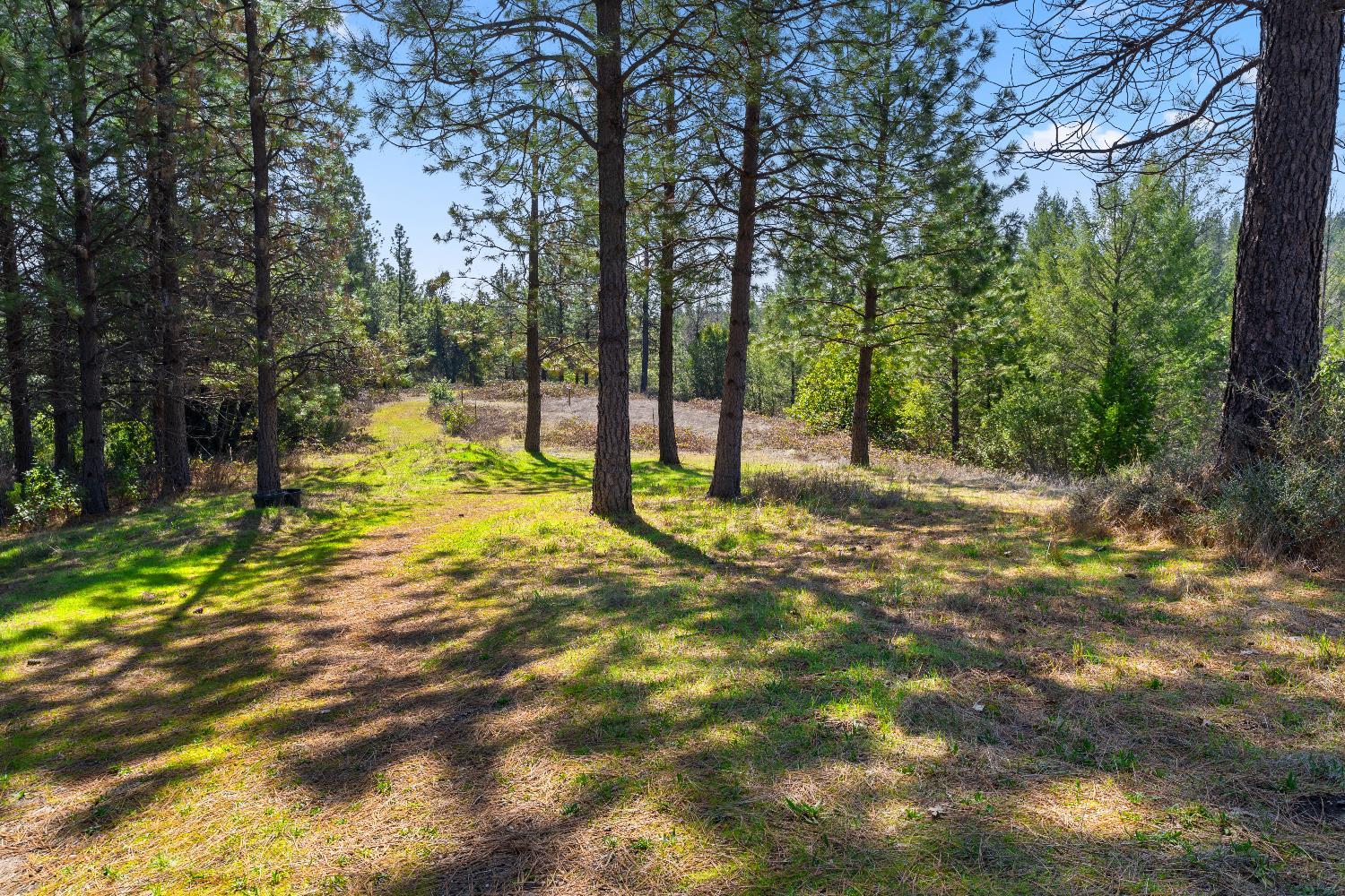 Camptonville, California, 95922, United States, 1 Bedroom Bedrooms, ,2 BathroomsBathrooms,Residential,For Sale,1938019