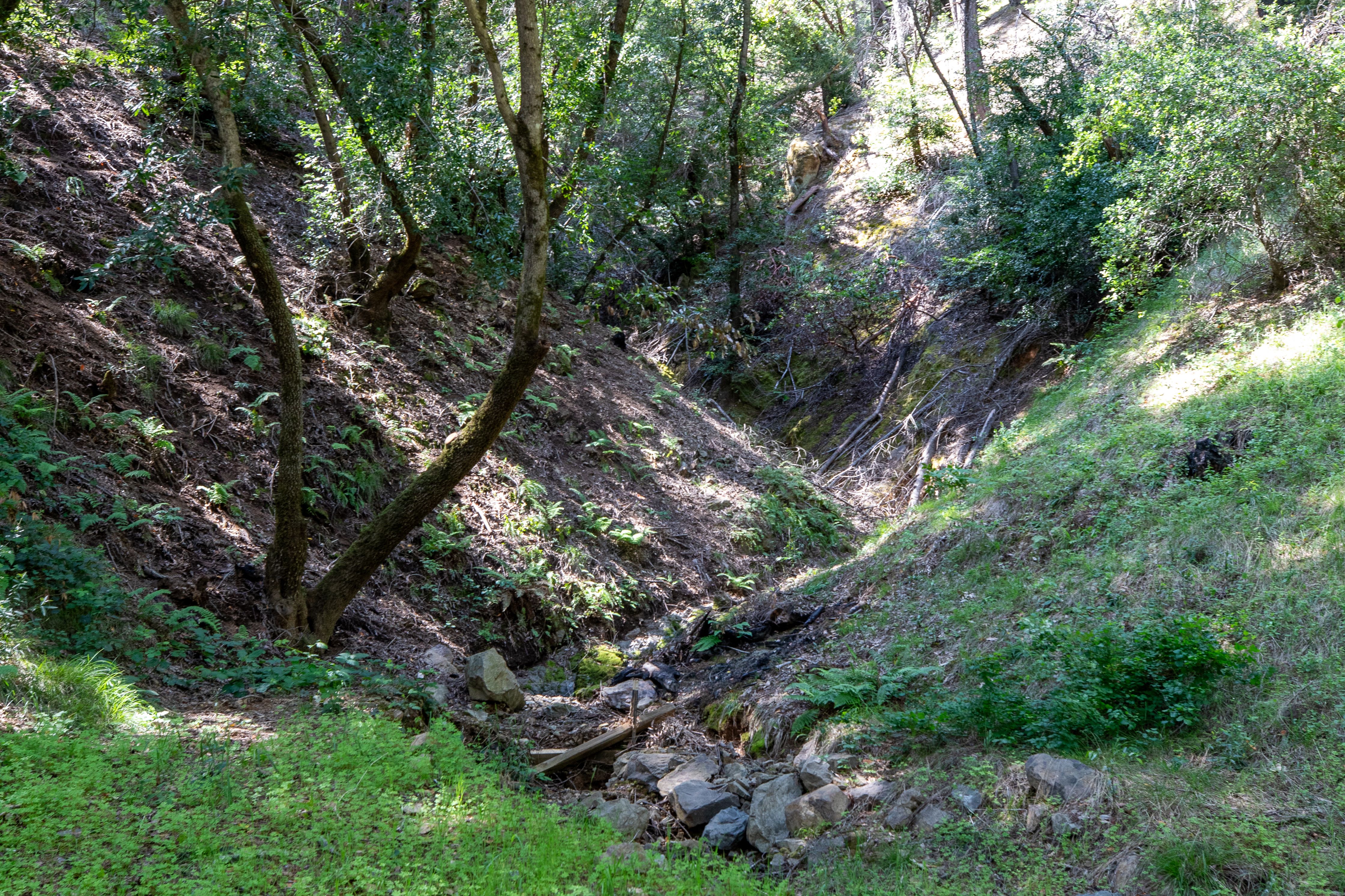  18900 Armstrong Woods Road, Guerneville, CA 95446 - 物件實景