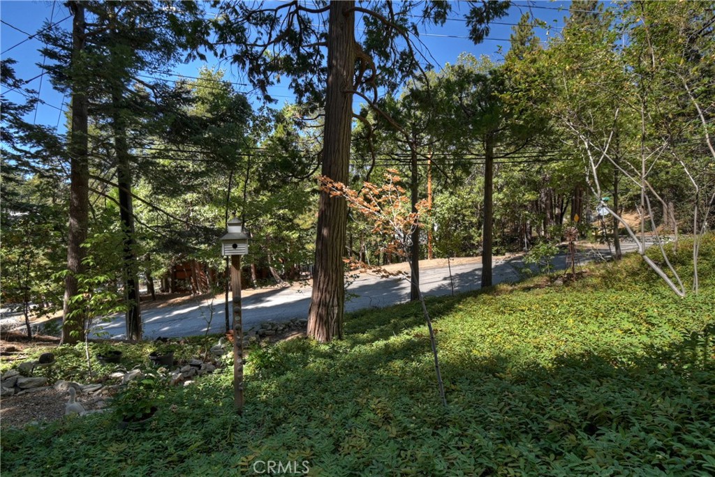 Lake Arrowhead, California, 92352, United States, 3 Bedrooms Bedrooms, ,1 BathroomBathrooms,Residential,For Sale,1988243