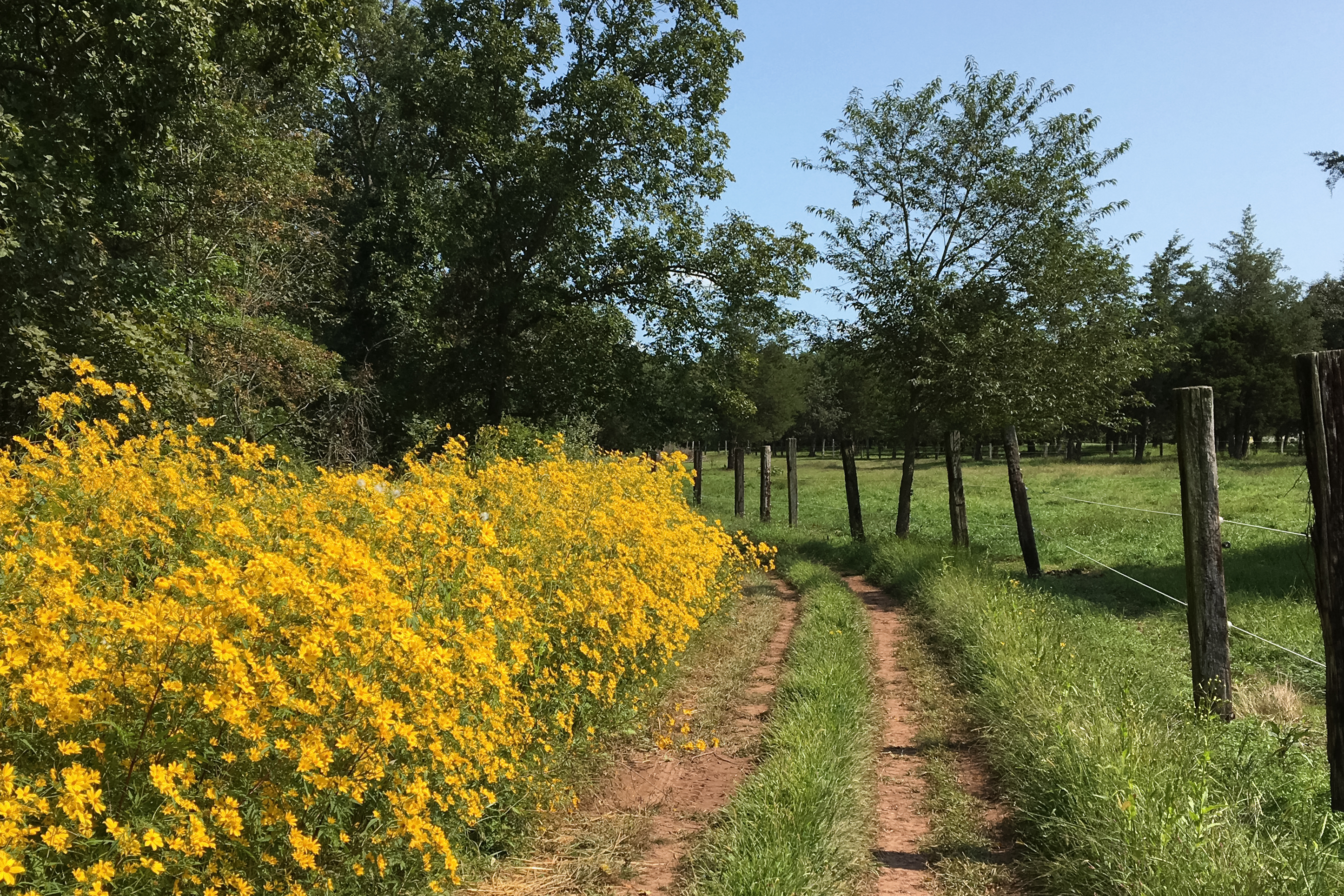  Turn-key Exceptional Princeton Area Equestrian Estate and Preserved Farm - 物件實景