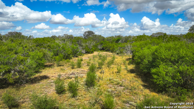 Nixon, Texas, 78140, United States, ,Residential,For Sale,1988320