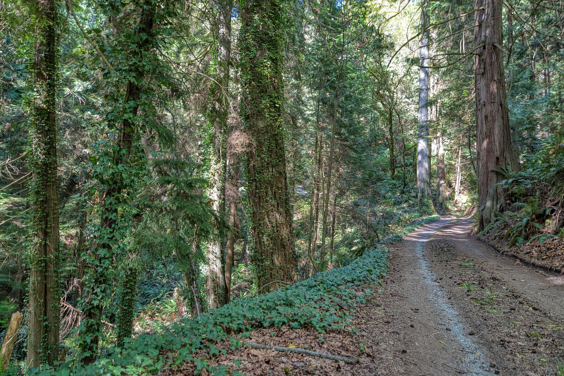  Roberts Creek, Sunshine Coast - 物件實景