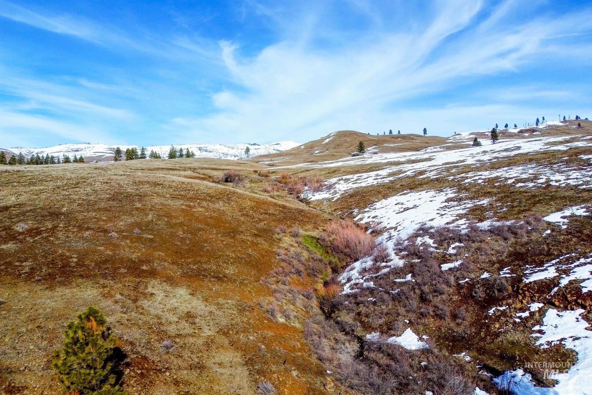 Council, Idaho, 83612, United States, ,Residential,For Sale,1921921