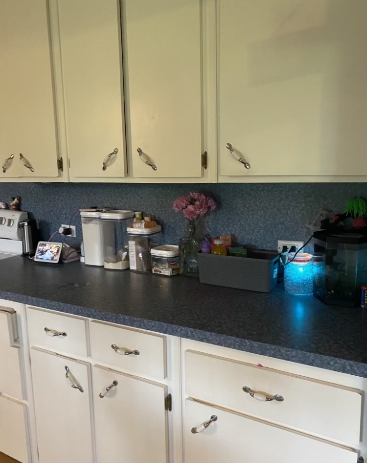 Clarksville, Arkansas, 72830, United States, 7 Bedrooms Bedrooms, ,3 BathroomsBathrooms,Residential,For Sale,2005713