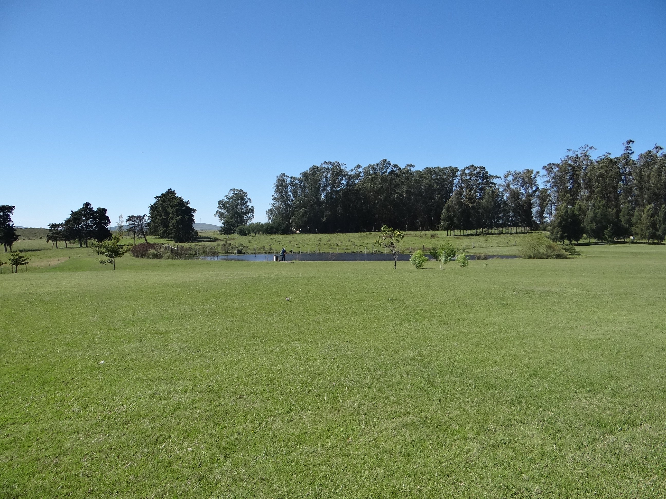  Farm in Pueblo Edén - 物件實景