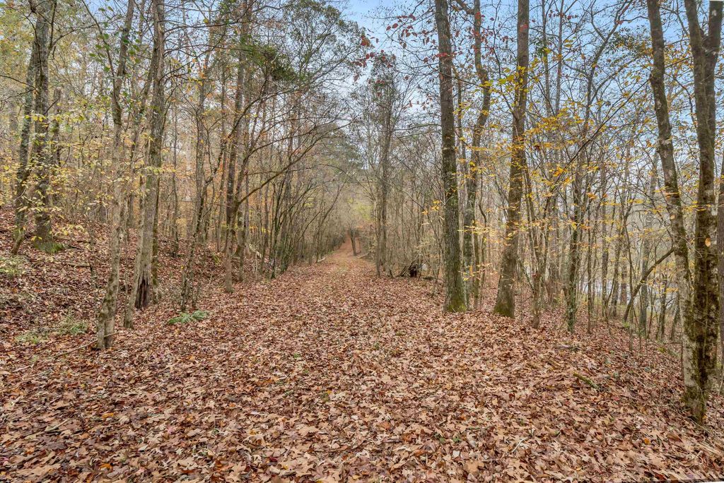 6.04 ac LINCHBURG ROAD, Eatonton, Georgia, 31024, United States, ,Land,For Sale,6.04 ac LINCHBURG ROAD,1683255