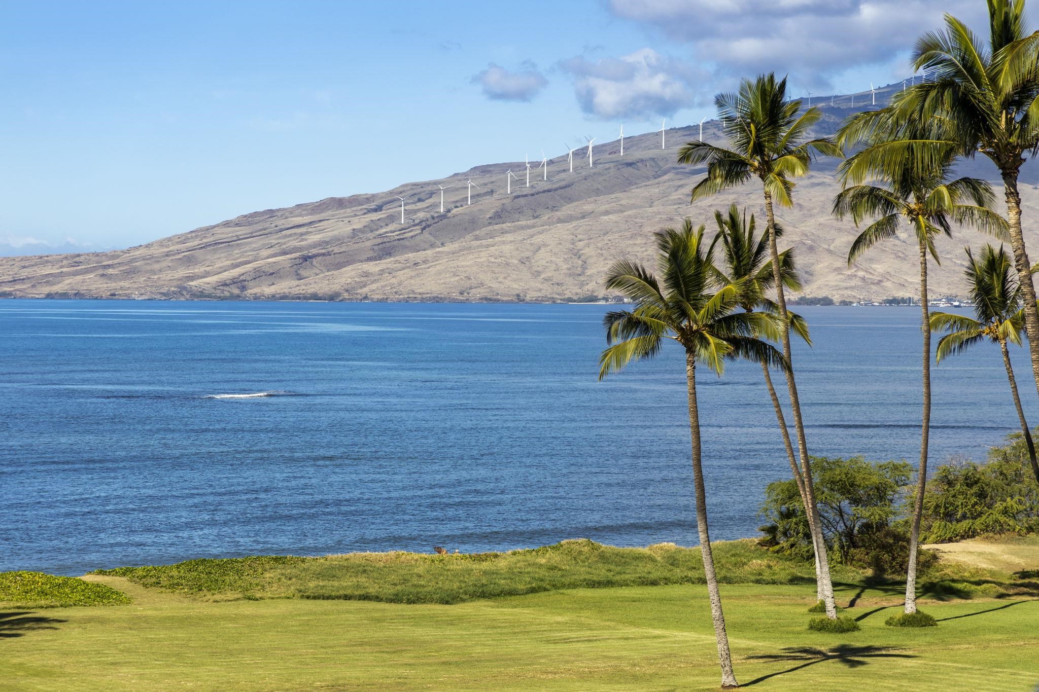 Kihei, Hawaii, 96753, United States, 1 Bedroom Bedrooms, ,2 BathroomsBathrooms,Residential,For Sale,1690888