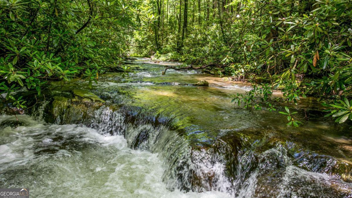 Ellijay, Georgia, 30540, United States, 5 Bedrooms Bedrooms, ,5 BathroomsBathrooms,Residential,For Sale,2016295