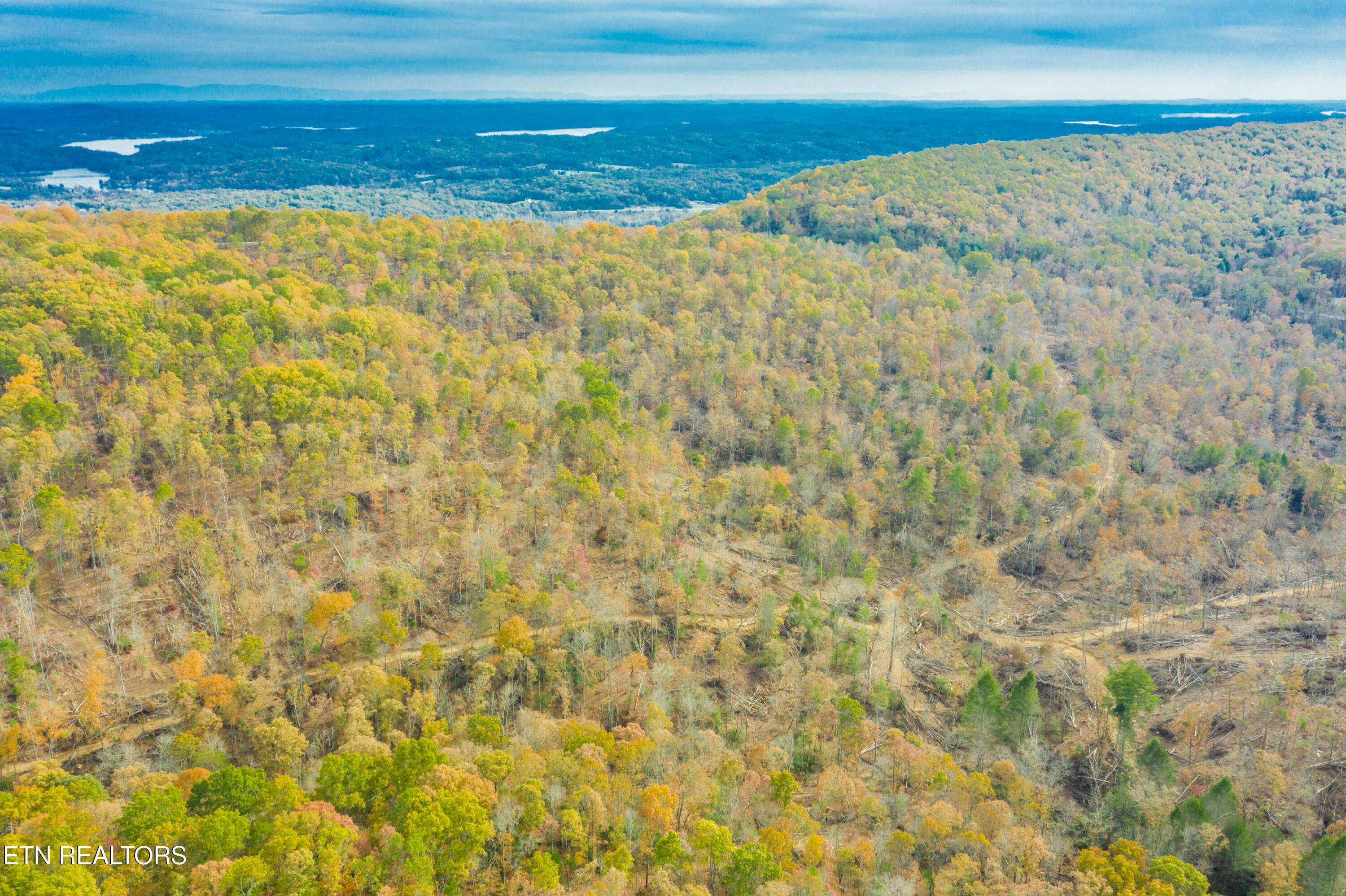 Rockwood, Tennessee, 37854, United States, ,Land,For Sale,1806468