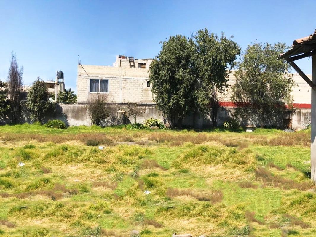 BENITO JUAREZ, Toluca, Estado de México, 50226, Mexico, 1 Bedroom Bedrooms, ,Residential,For Sale,BENITO JUAREZ,1441377