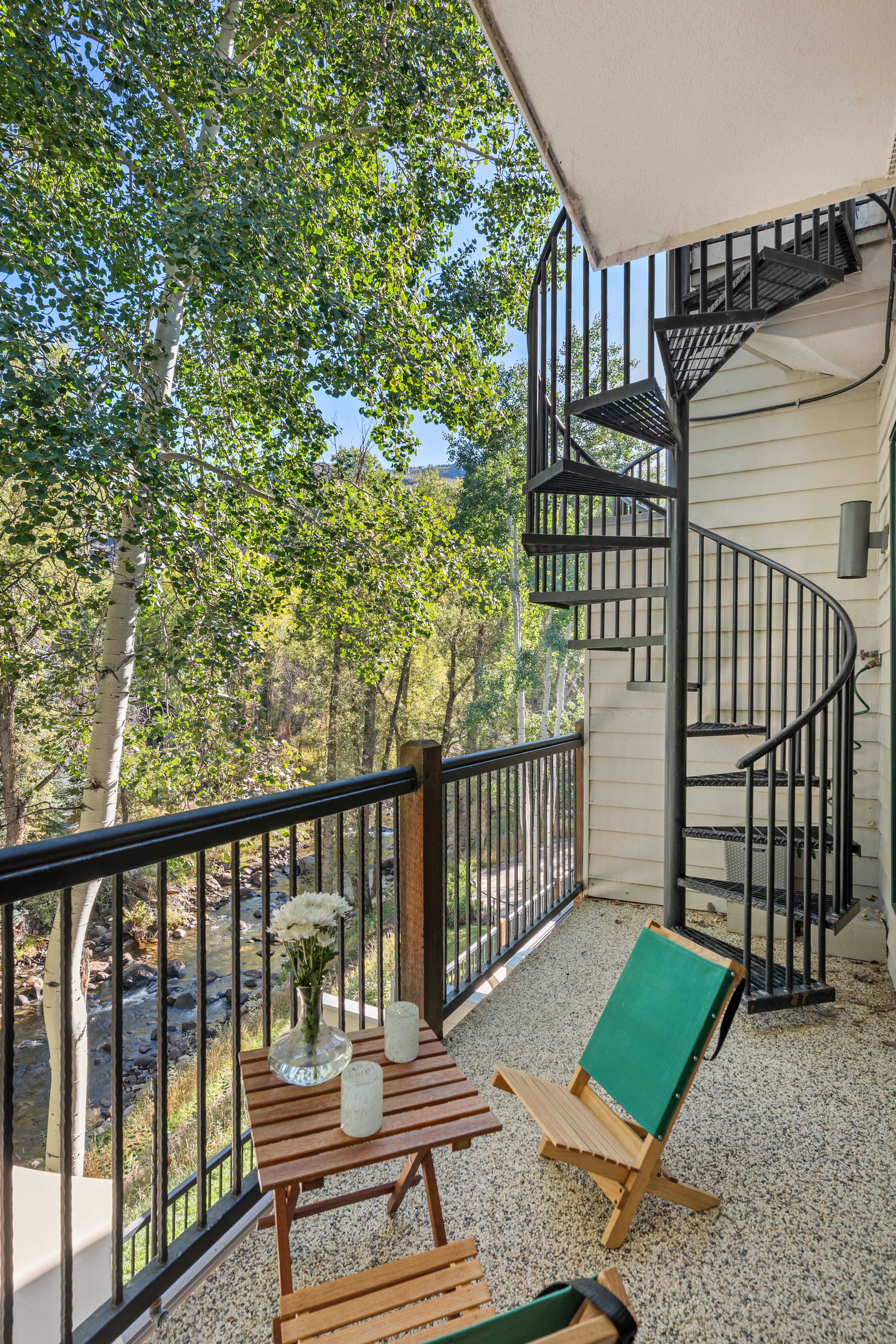  960 E Hopkins Avenue, Aspen, CO, 81611 - 物件實景