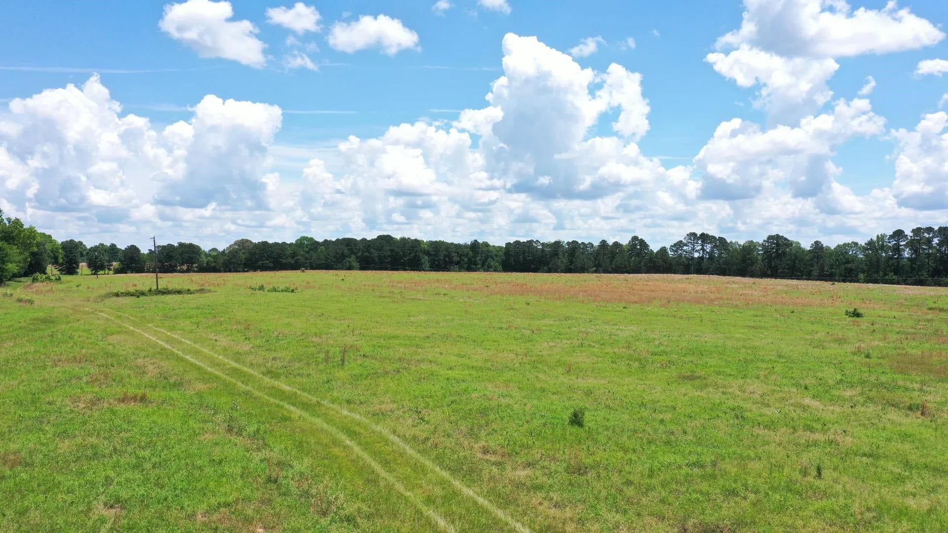 Douglassville, Texas, 75560, United States, ,Land,For Sale,2048006