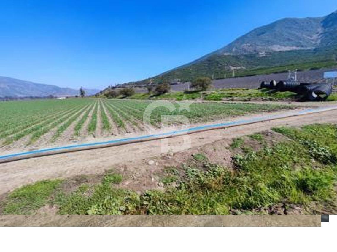 Catemu, Chile, ,Residential,For Sale,1971314