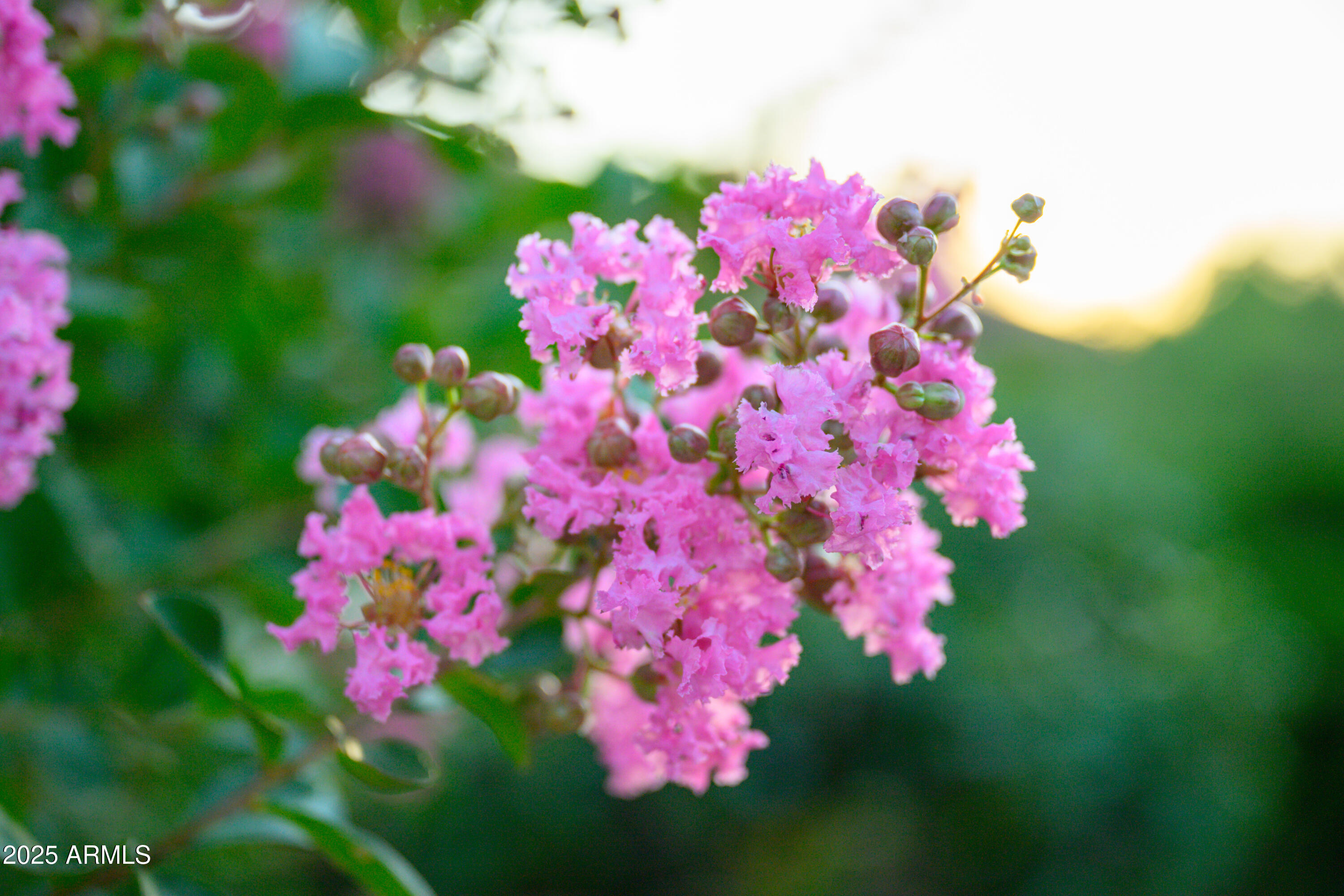 Sedona, Arizona, 86351, United States, 3 Bedrooms Bedrooms, ,4 BathroomsBathrooms,Residential,For Sale,2003507