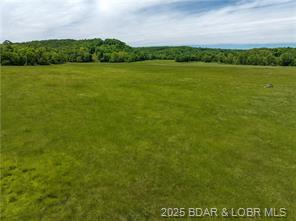 Montreal, Missouri, 65591, United States, ,Land,For Sale,1821454