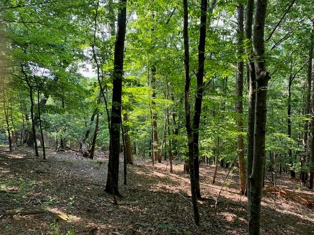 Big Canoe, Georgia, 30143, United States, 4 Bedrooms Bedrooms, ,4 BathroomsBathrooms,Residential,For Sale,2005796