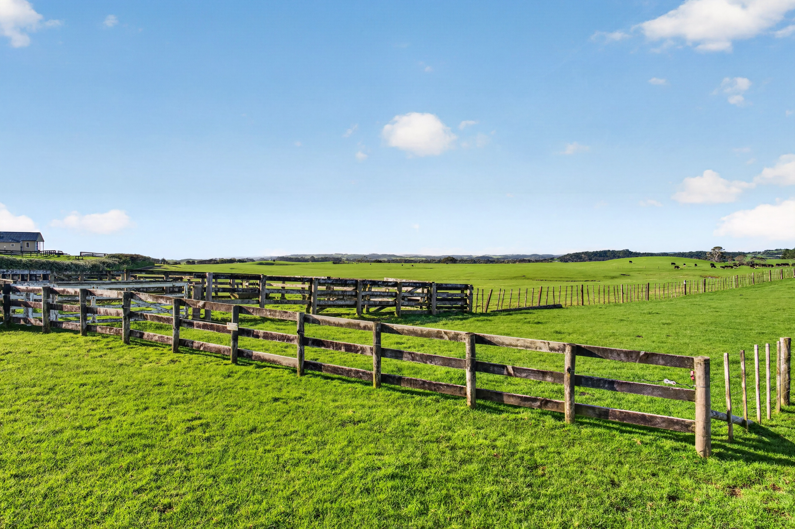 55 Coster Road, Muriwai - 物件實景
