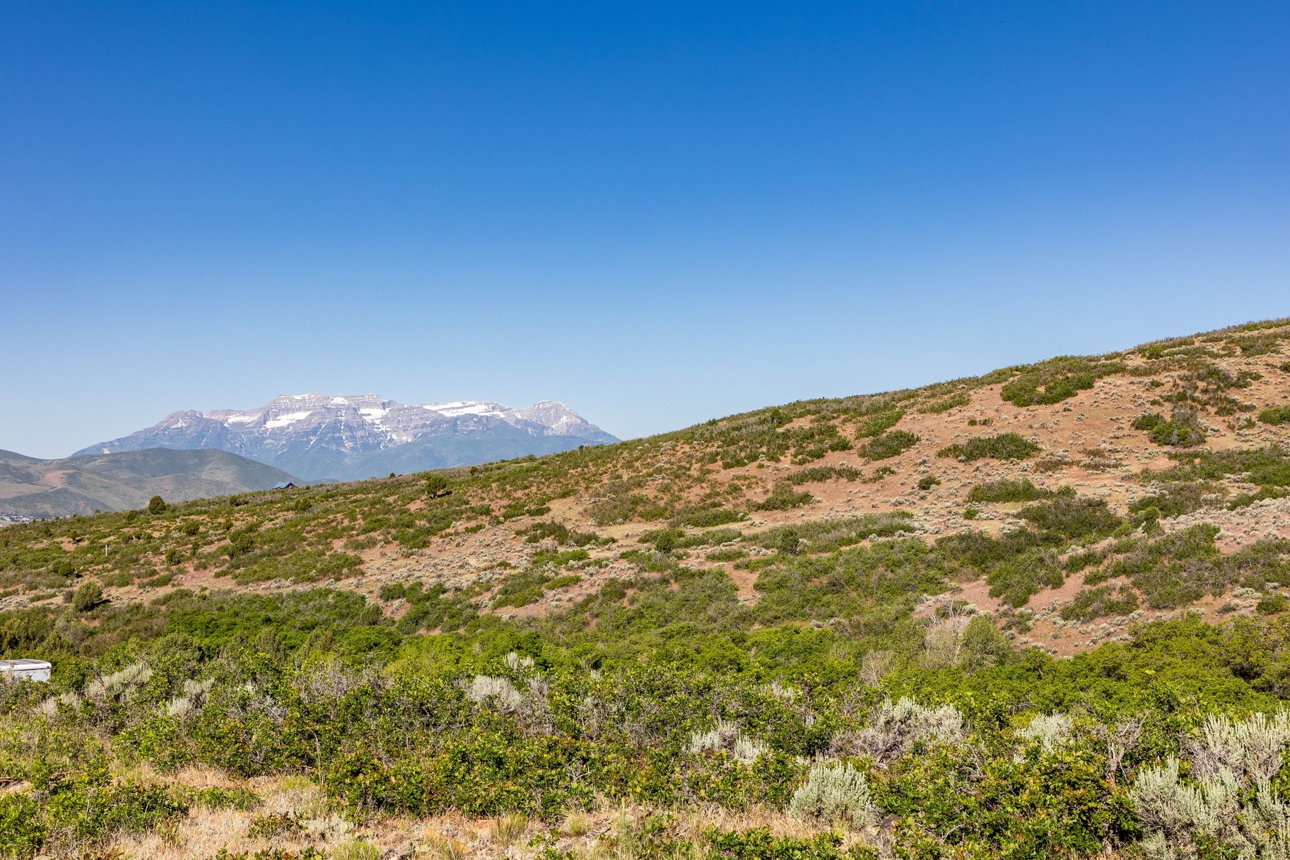  The Ultimate Multi-Generational Mountain Retreat Backing to 500 Acres of Open Sp - 物件實景