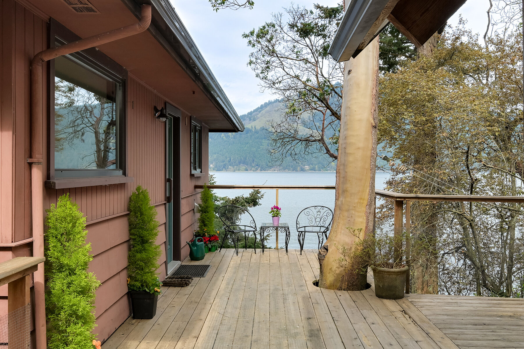  Serene Woodland Charm - 物件實景