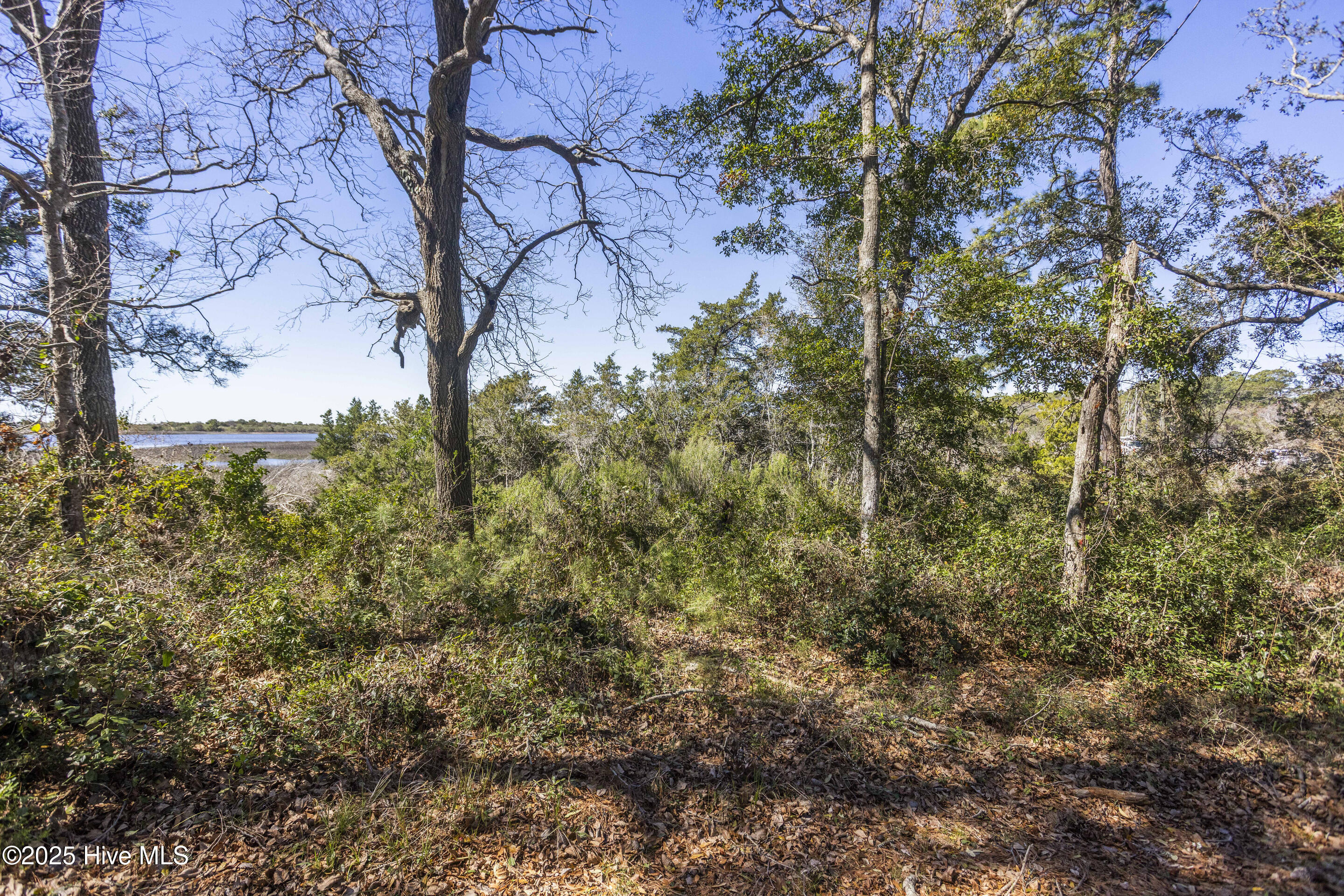 Sunset Beach, North Carolina, 28468, United States, ,Land,For Sale,1743682