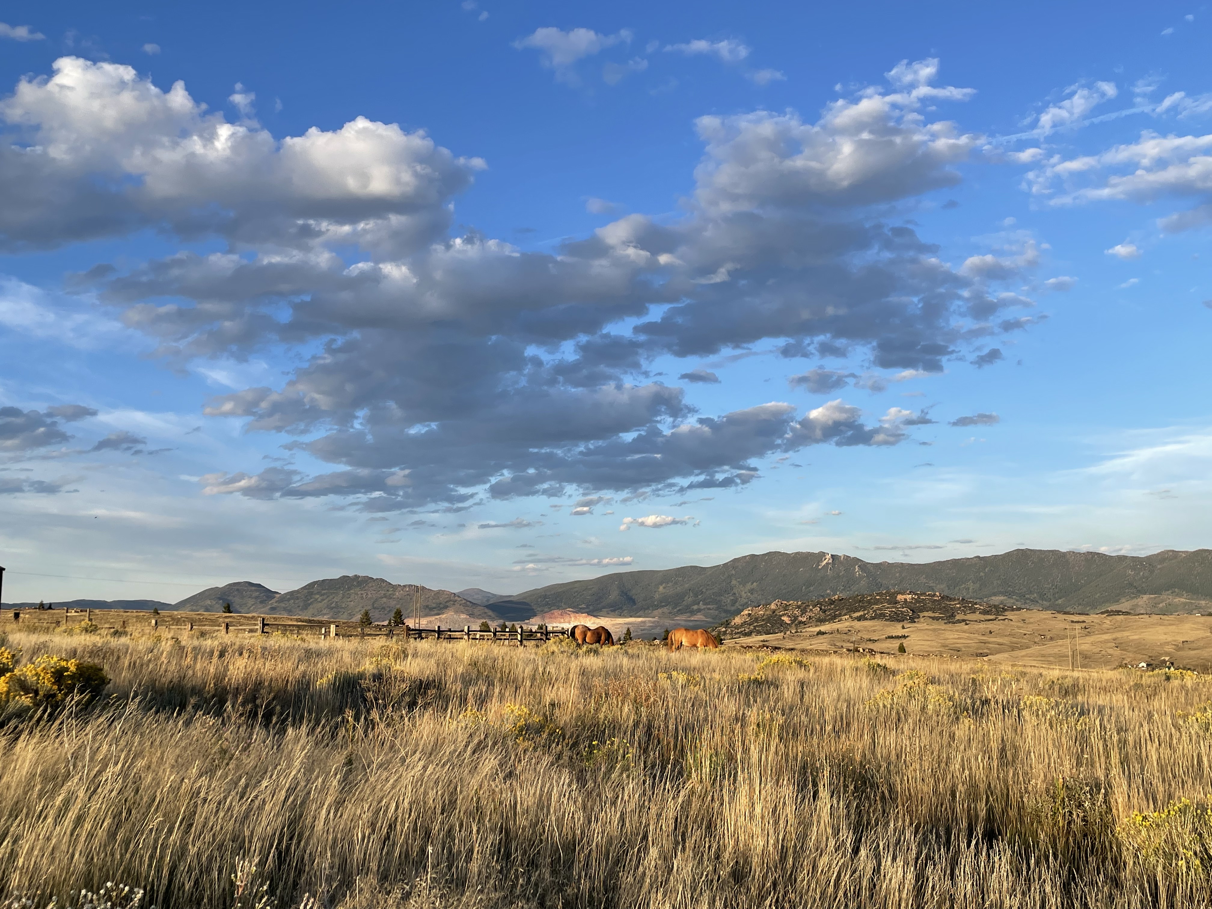 Butte, Montana, 59701, United States, 6 Bedrooms Bedrooms, ,6 BathroomsBathrooms,Residential,For Sale,1981460