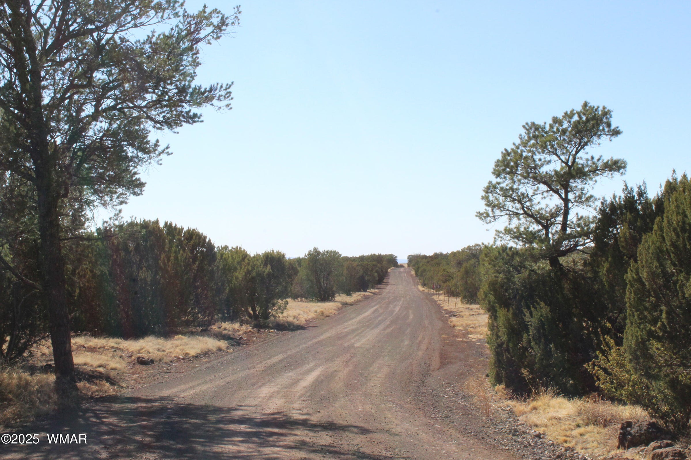 Concho, Arizona, 85924, United States, 4 Bedrooms Bedrooms, ,Residential,For Sale,2005351