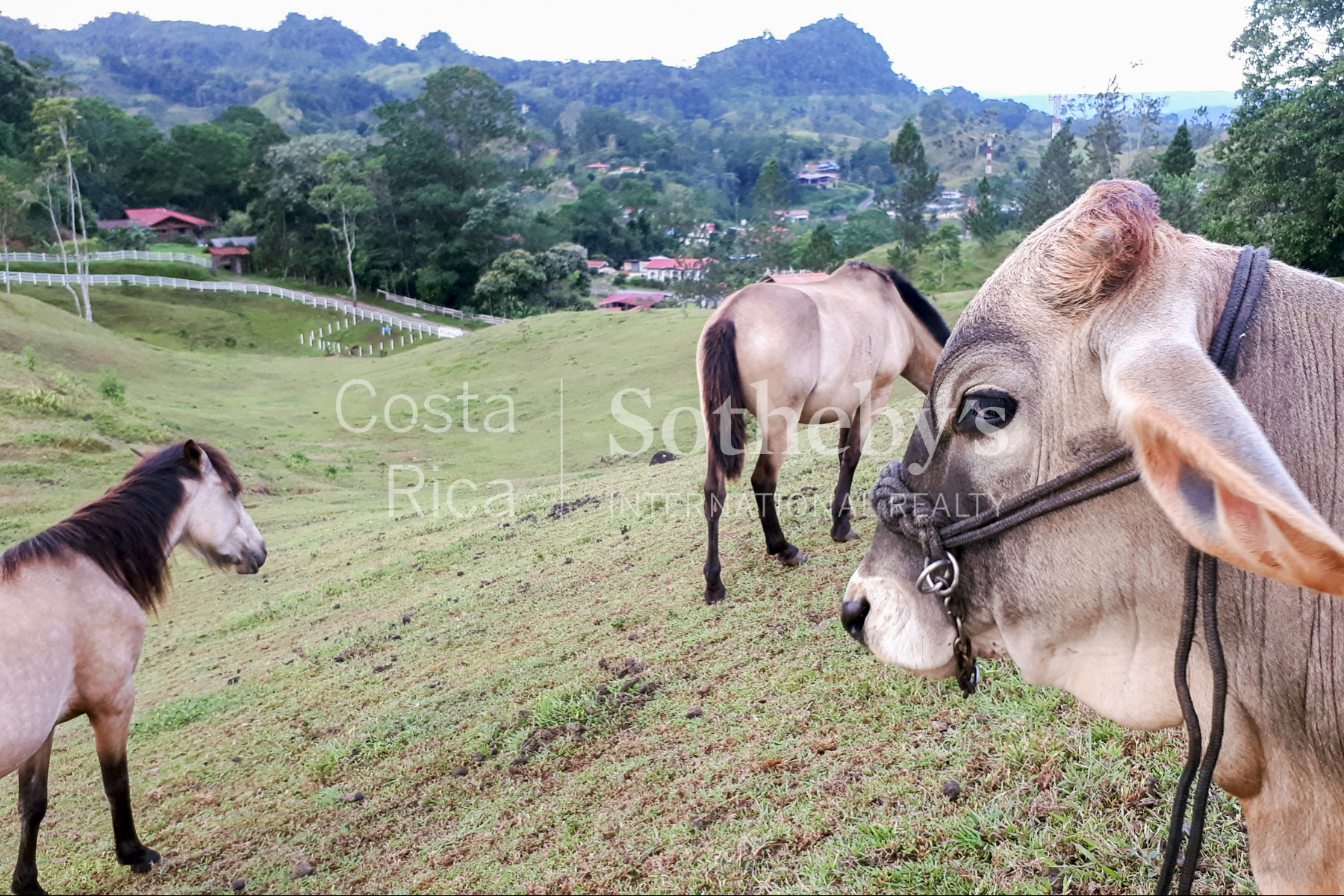  300ha+ Finca Turística Turrialba - 物件實景