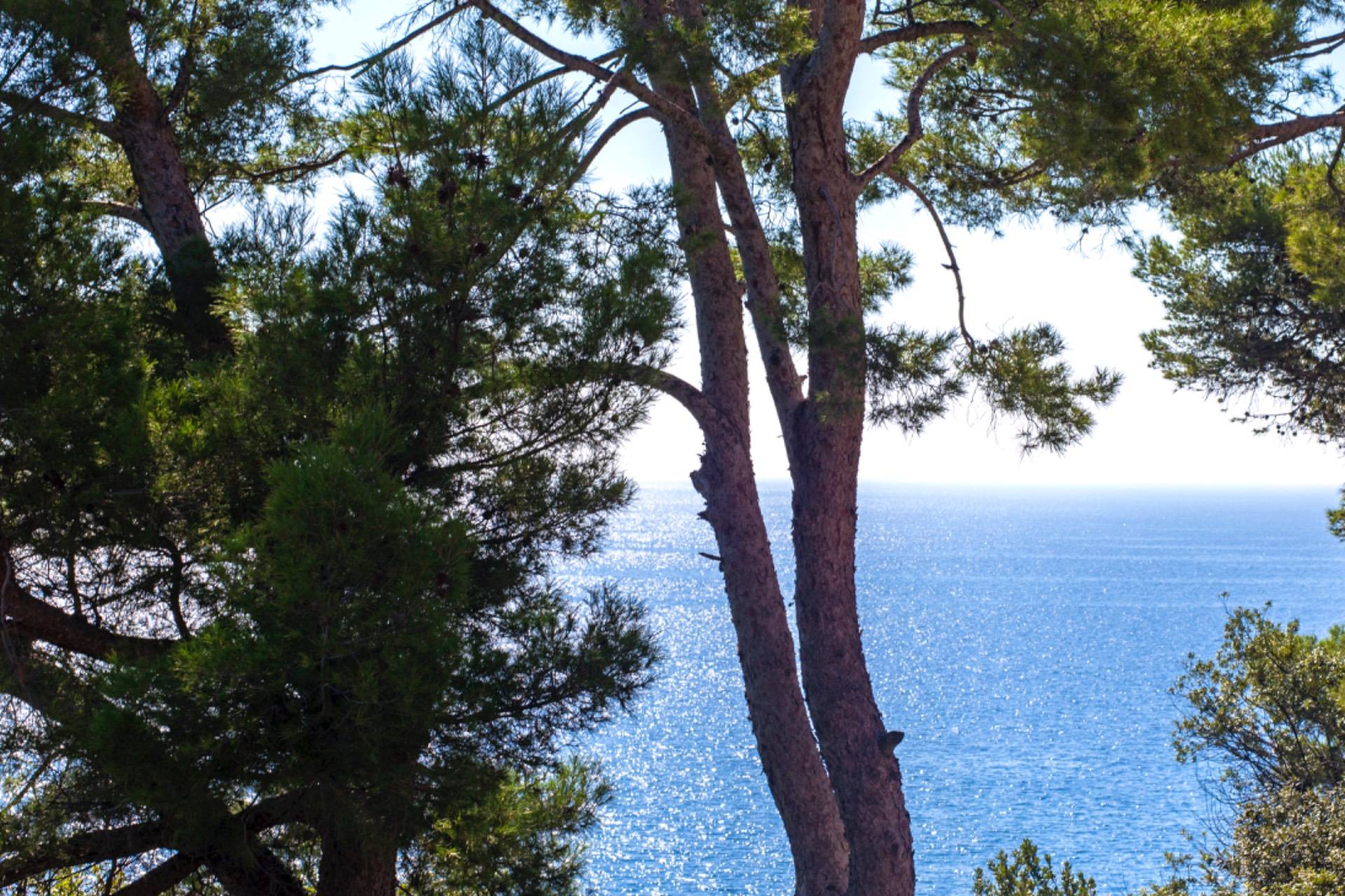 Varazze, Savona, 17019, IT, 2 Bedrooms Bedrooms, ,1 BathroomBathrooms,Residential,For Sale,1969349