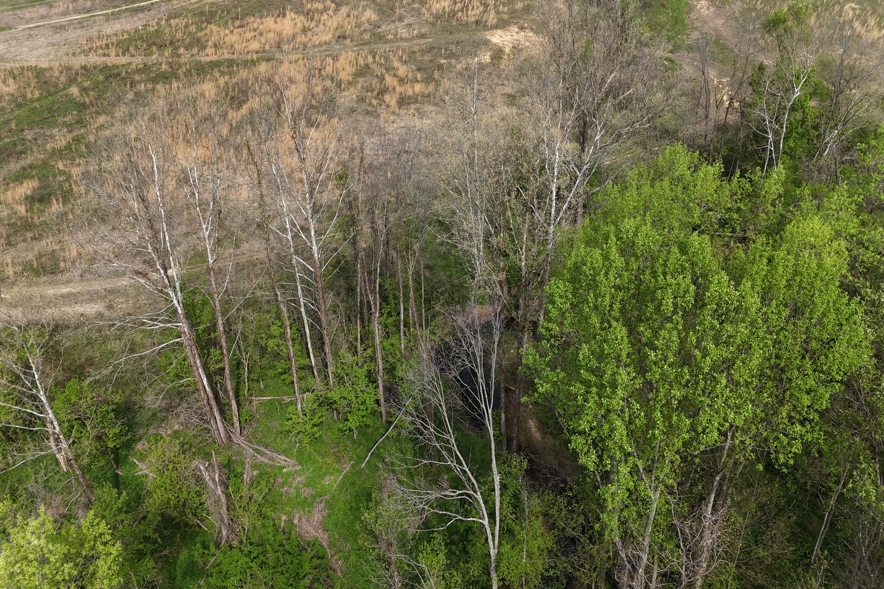  Expansive 56 Acre Property Ready For Your Dream Home - 物件實景