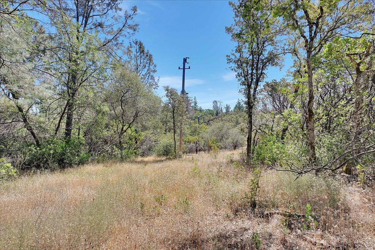 Oregon House, California, 95962, United States, ,Land,For Sale,1975767