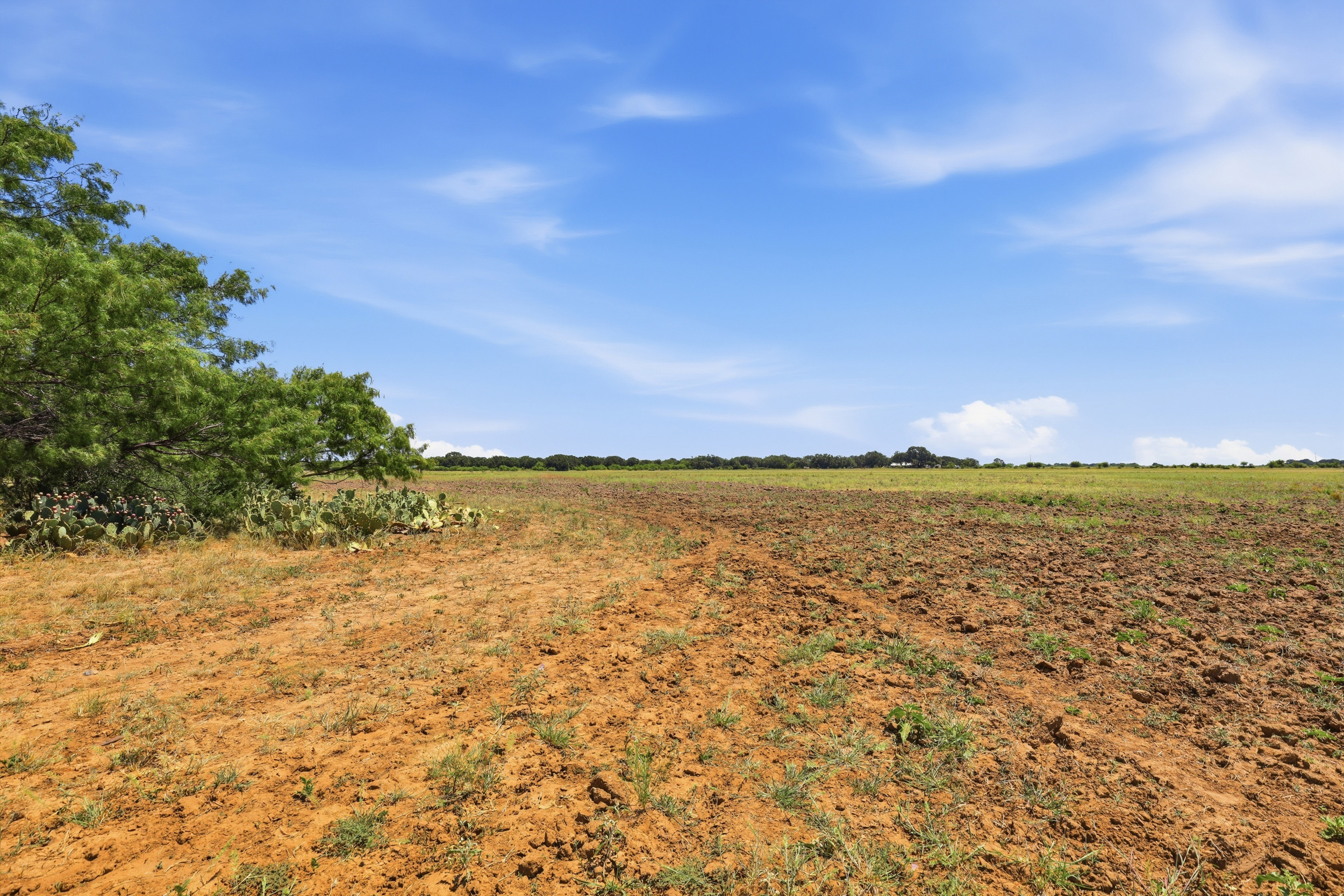  125 Acres of Texas Land for Recreation and Retreat - 物件實景