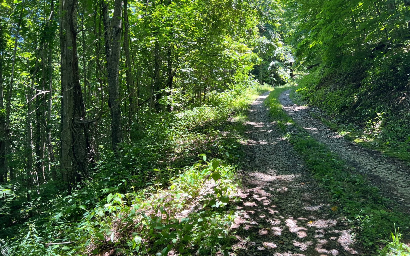 101ac Lori'S Mountain, Hayesville, North Carolina, 28904, United States, ,Residential,For Sale,101ac Lori'S Mountain,1304629