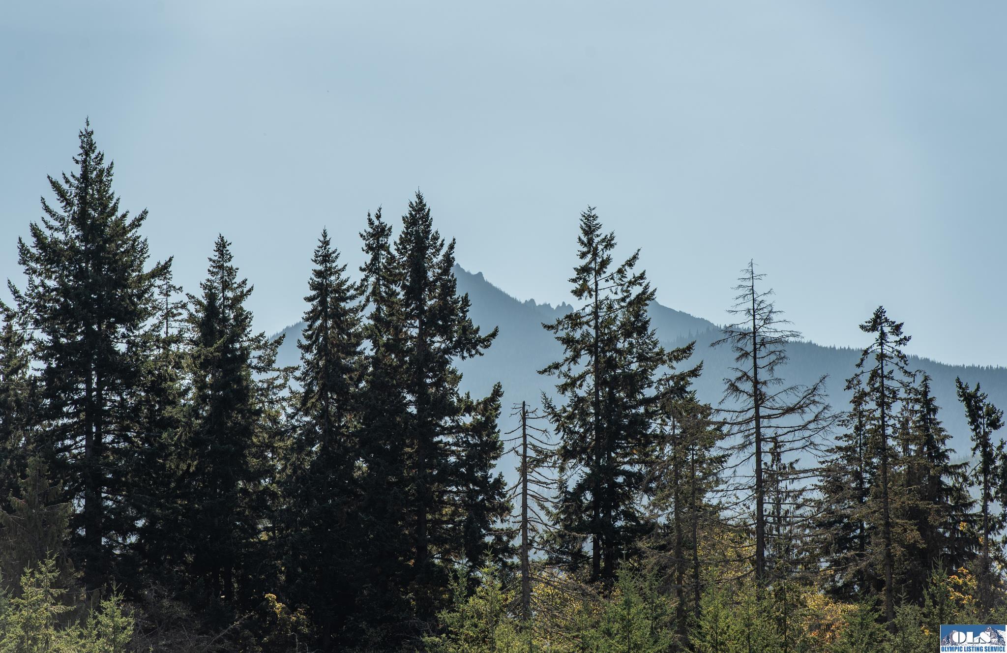 Port Angeles, Washington, 98362, United States, 3 Bedrooms Bedrooms, ,2 BathroomsBathrooms,Residential,For Sale,1964225