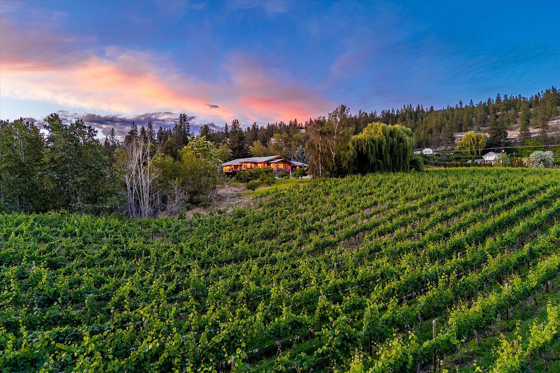  Multiple Homes on a Vineyard - 物件實景