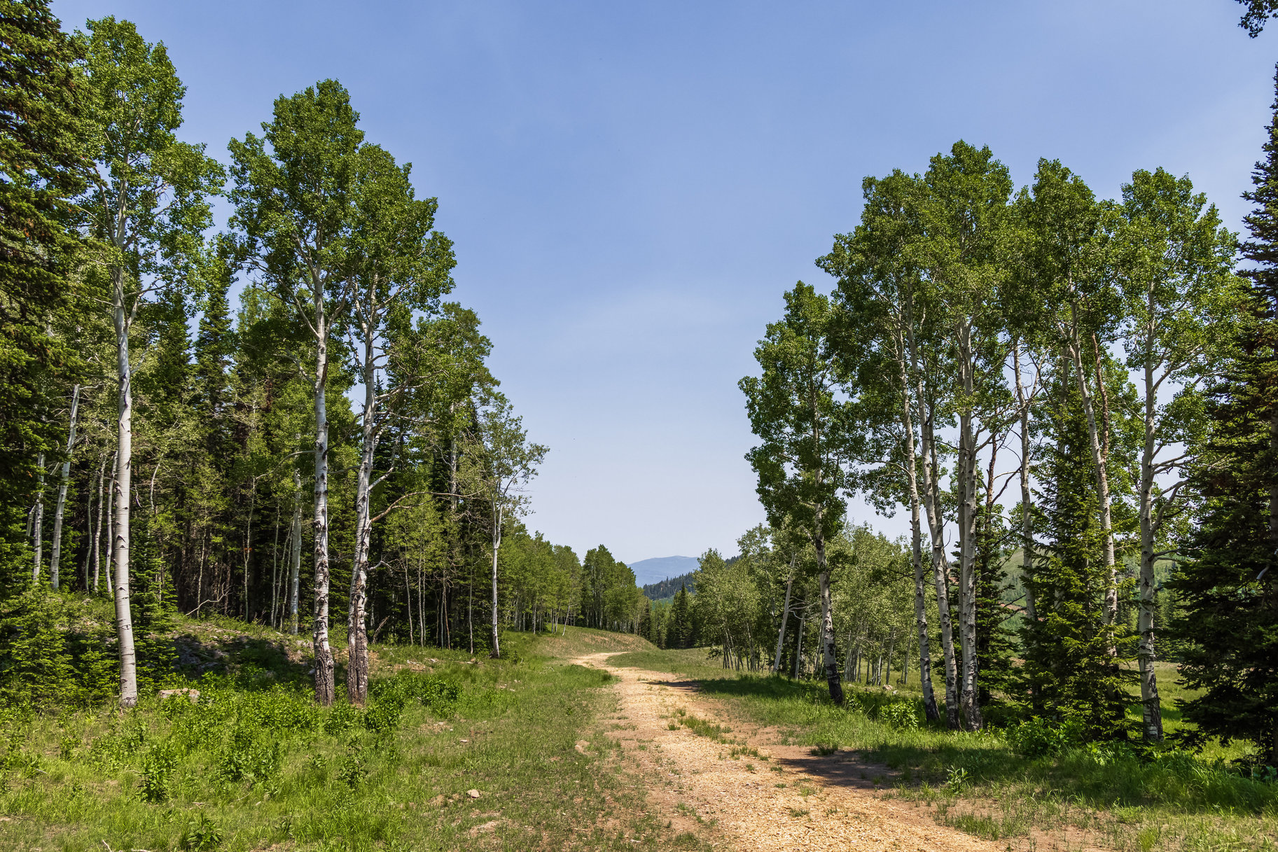  Incredible 28 Acre Estate Lot in the Colony at White Pine Canyon - 物件實景