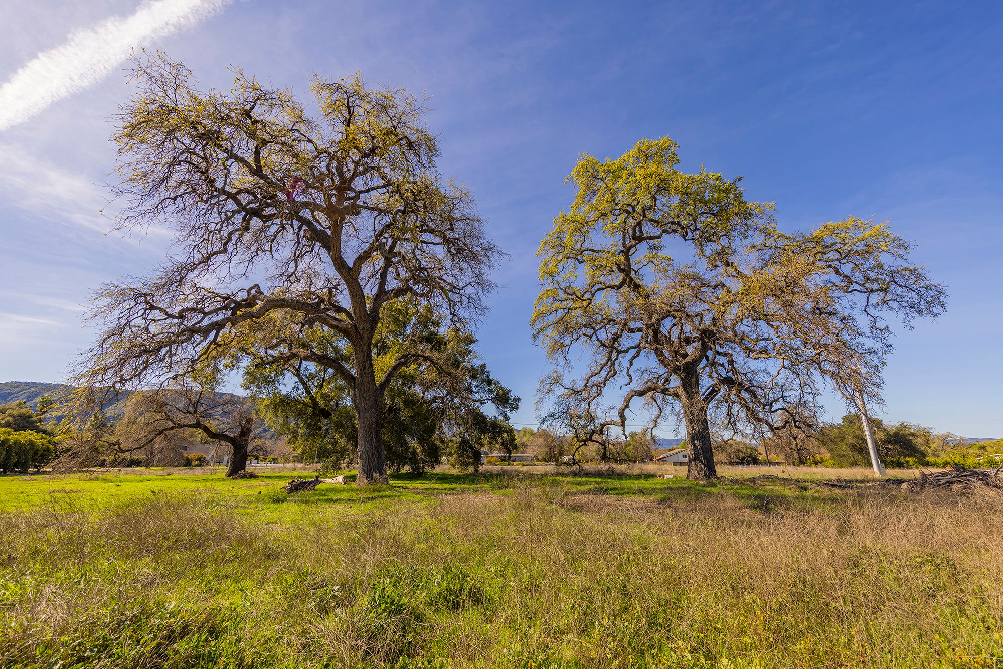  1201 Grand Avenue, Ojai, CA 93023 - 物件實景