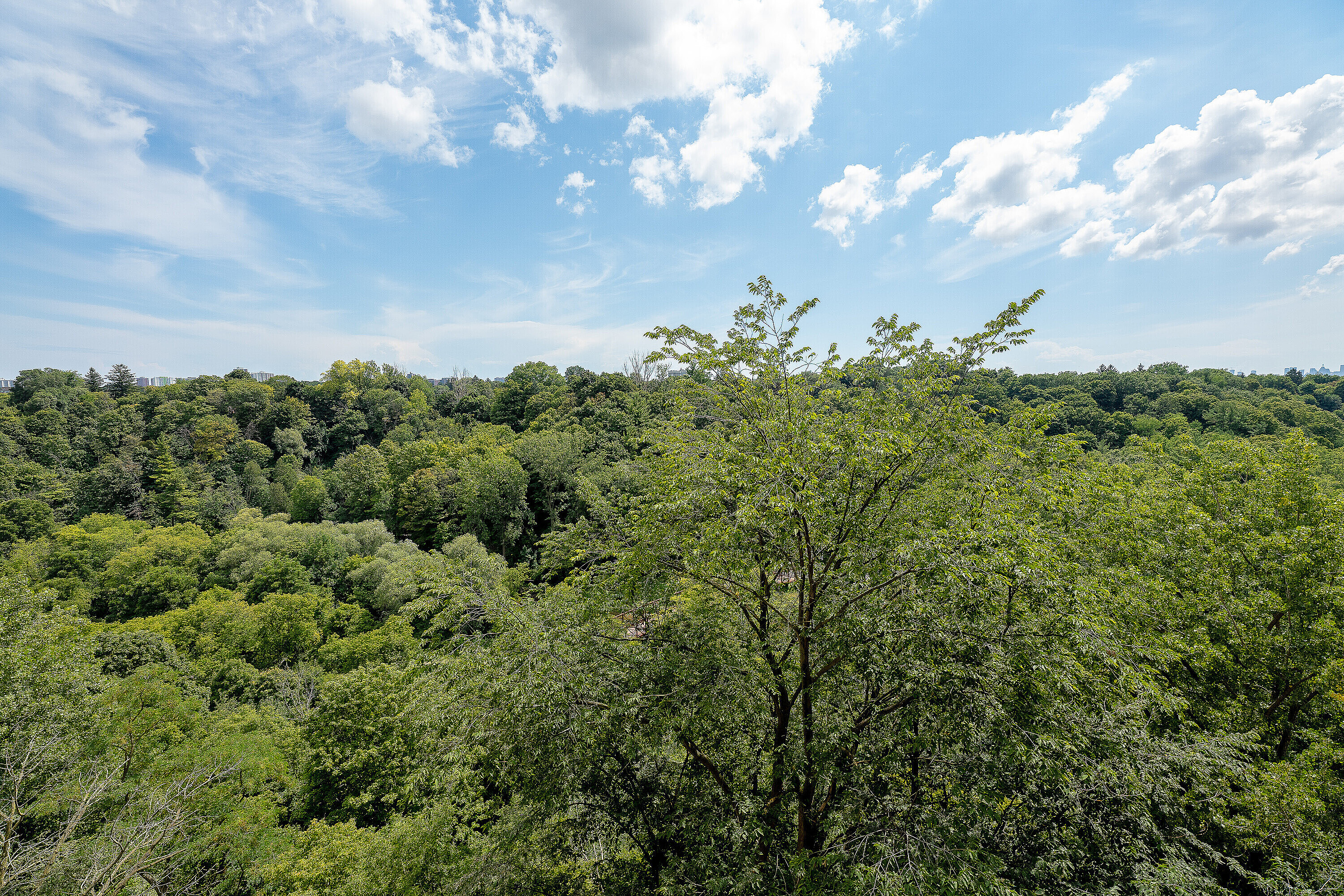  Toronto, Greater Toronto Area - 物件實景