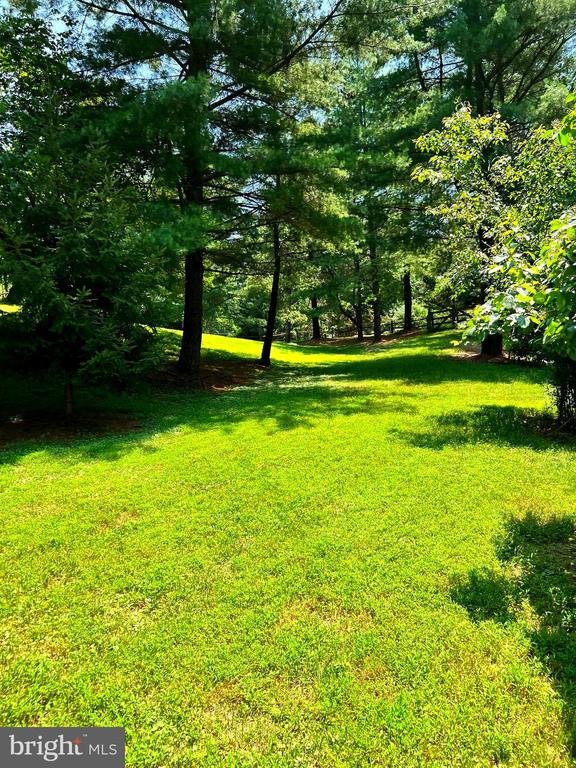 Great Falls, Virginia, 22066, United States, 5 Bedrooms Bedrooms, ,5 BathroomsBathrooms,Residential,For Sale,1900616